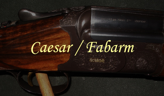 caesar fabarm